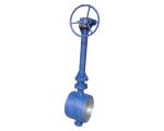 Extension rod welded hard seal butterfly valve